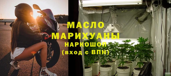 крисы Корсаков