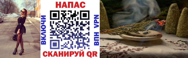 Каннабис гибрид Можга